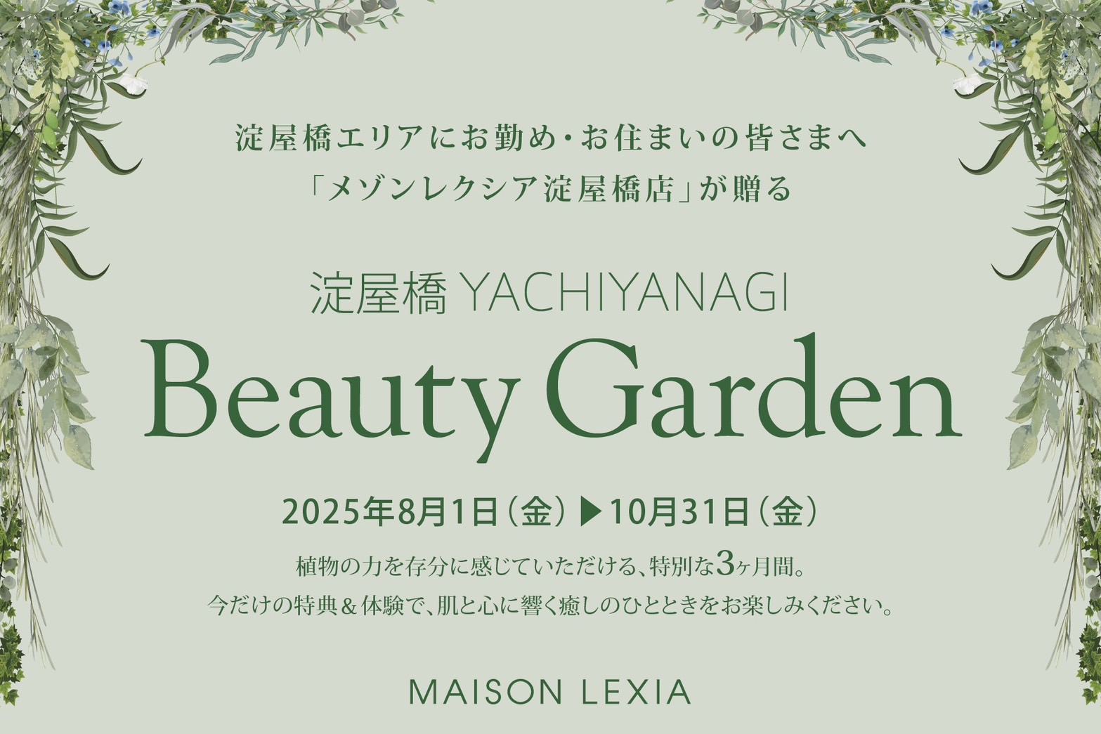 メゾンレクシア淀屋橋店にて、2025年８月1日（金）～10月31日（金）<br>「淀屋橋 YACHIYANAGI Beauty Garden」を開催！！