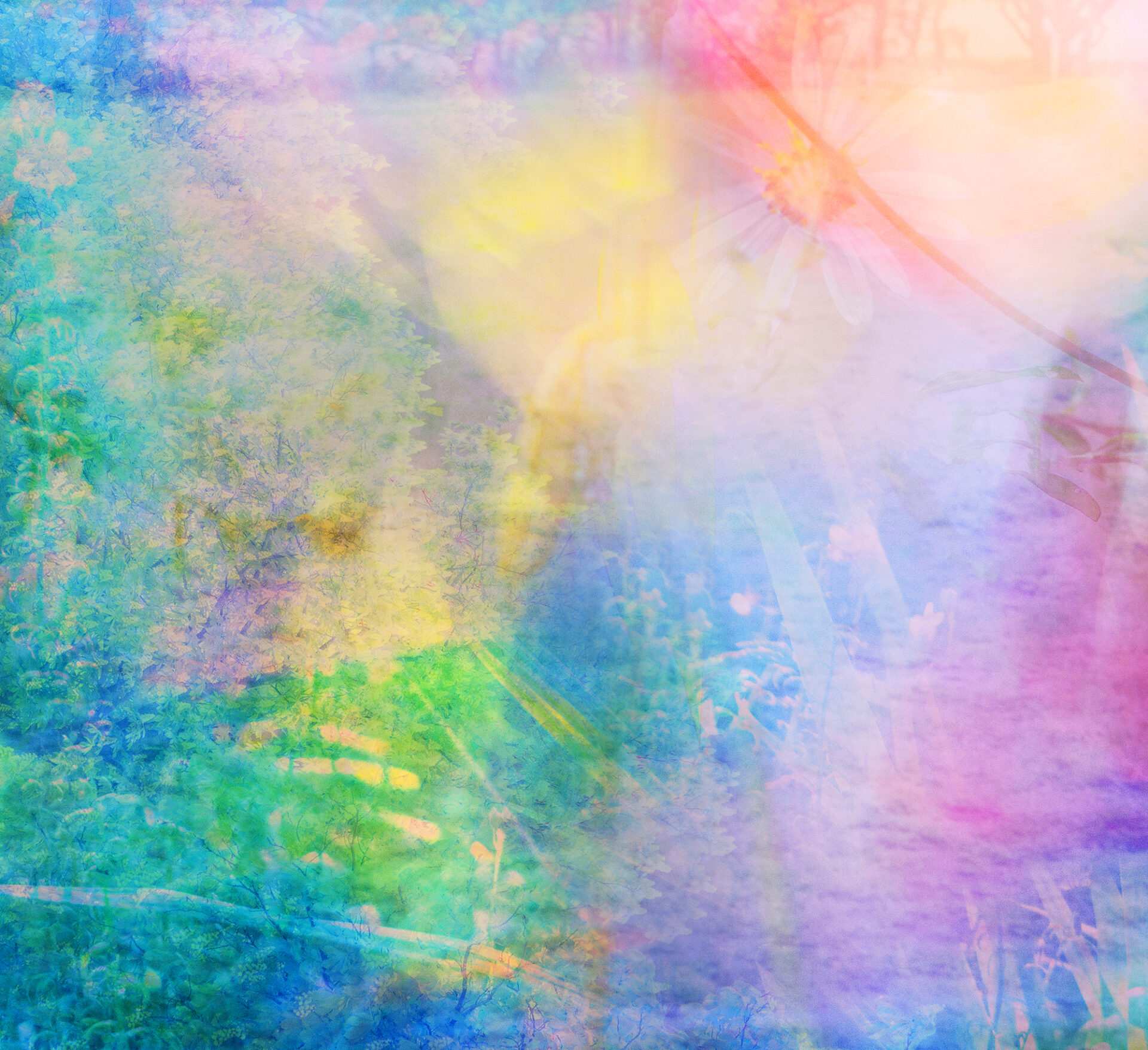 2025年7月25日（金）より<br>【SHIRO】LIMITED PERFUME LAYERS OF BLOOMが数量限定で初登場。