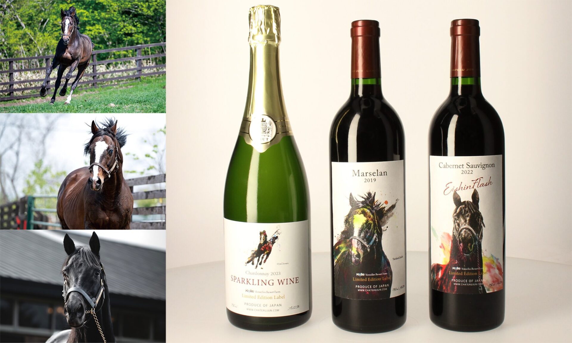 「ヴェルサイユリゾートファーム」の名馬をモチーフにした特別なワインが「シャトージュン」から登場!