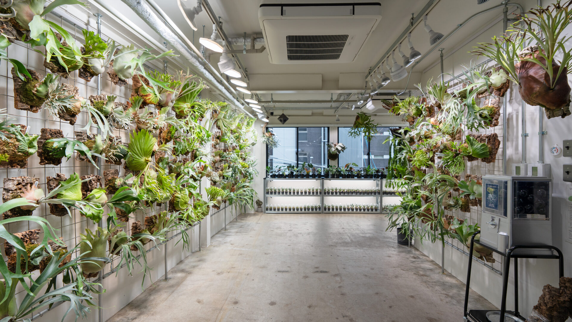 植物愛好家の聖地 「vandaka plants OSAKA」 が大阪・浪速区にオープン